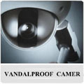 Vandal Proof Camera